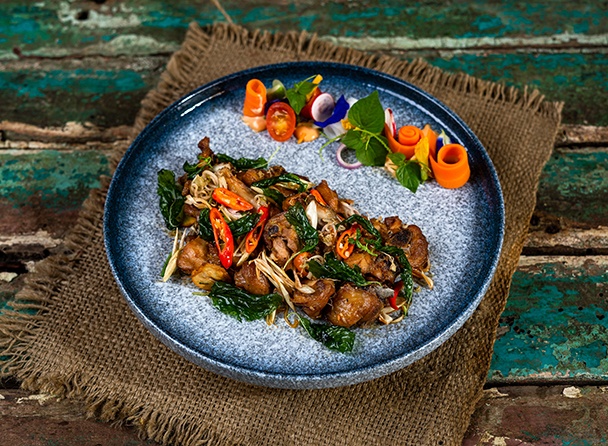food-dish